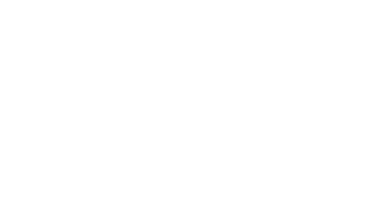 Importel Logo