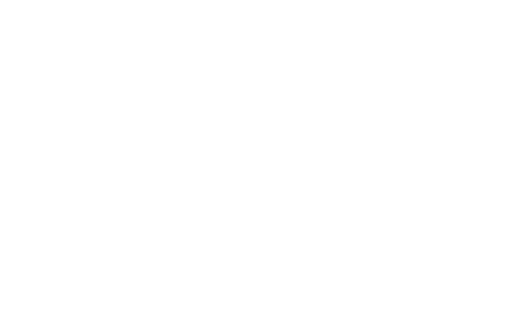 CTEK Logo